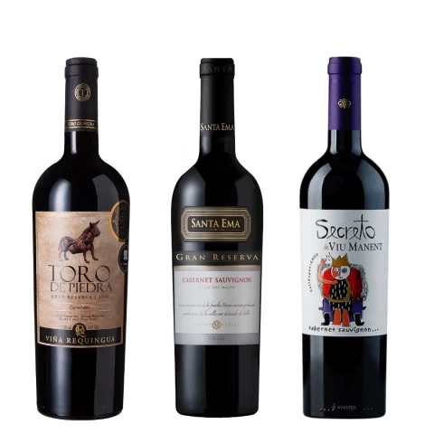 ¿Qué son y para qué sirven los taninos del vino tinto?