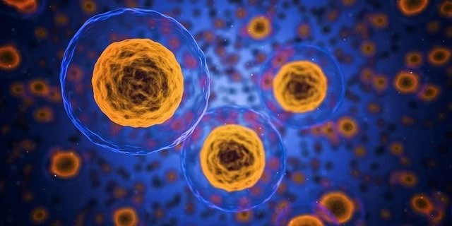 Impact of COVID-19 Outbreak on Global Host Cell Protein Testing Market Analysis, Trends and Opportunities 2022 - 2027