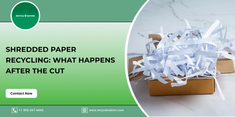 Shredded Paper Recycling: What Happens After the Cut