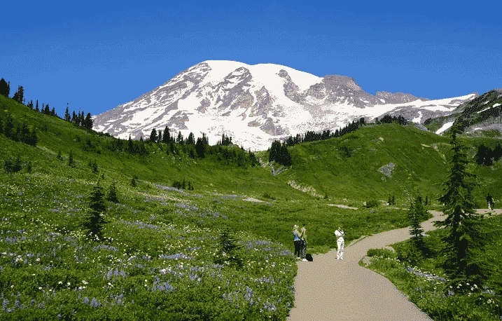 Things You Should Know Before Visiting Seattle
