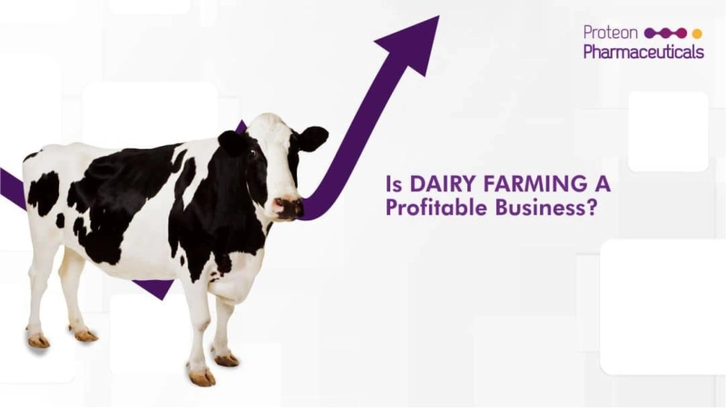 Is dairy farming a profitable business?