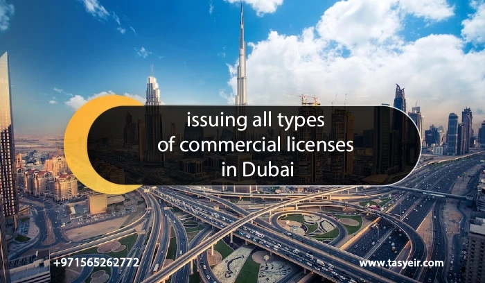 Commercial License in Dubai: Your Key to Enter the Business World with Confidence