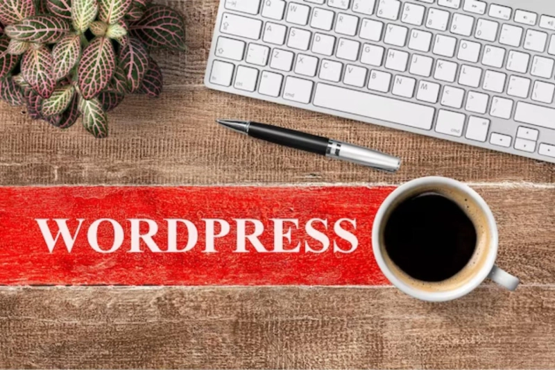 Top Best Practices to Supercharge Your WordPress Website Development