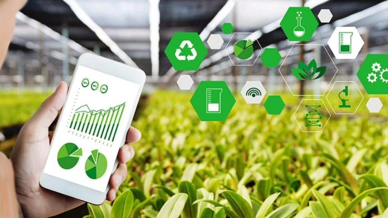 Farm Management Software Market Share, Size and Demand 2023-2028