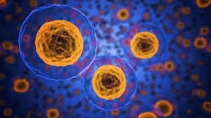 Oncolytic Virotherapy Market Status and Trend by Leading Companies, Regional Outlook 2029
