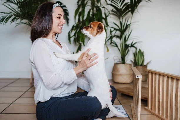 How Owning A Pet Can Improve Life In Golden Years