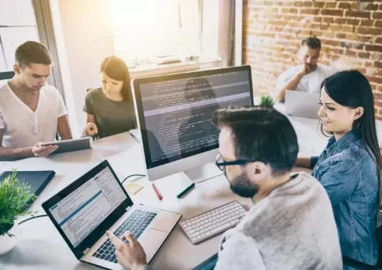 Experienced Custom Software Development Company - MI Group USA