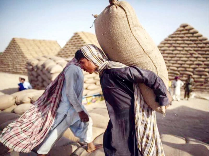 Latest Pakistan News Flour crisis looms large after tax hike