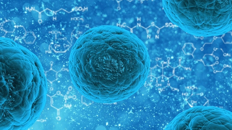 Industry stakeholders have made significant investments towards the development of orally administered protein and peptide therapeutics