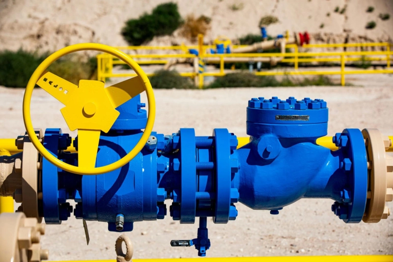 AWWA Check Valve Manufacturer in USA