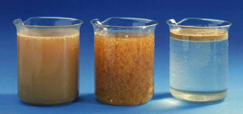 Global Flocculant and Coagulant Market