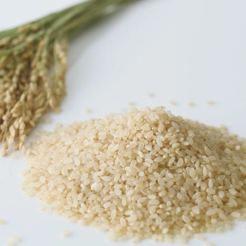Amazing Health Benefits of Brown Rice – Why You Should Switch Today