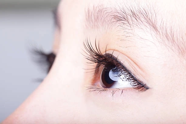 Eyelash Extension Colors for a Subtle and Elegant Change
