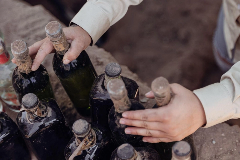 Juniper Love: Exploring the Heart of All Great Gins