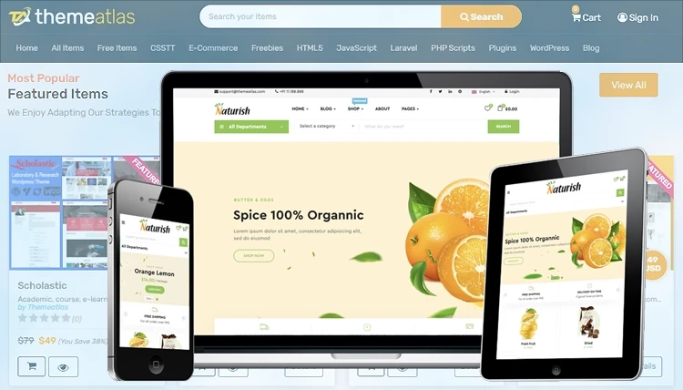 How to Use best free responsive WordPress themes for E-Commerce Sites