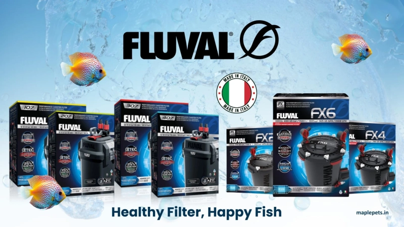 Fluval External Canister Aquarium Filters: Complete Buying Guide