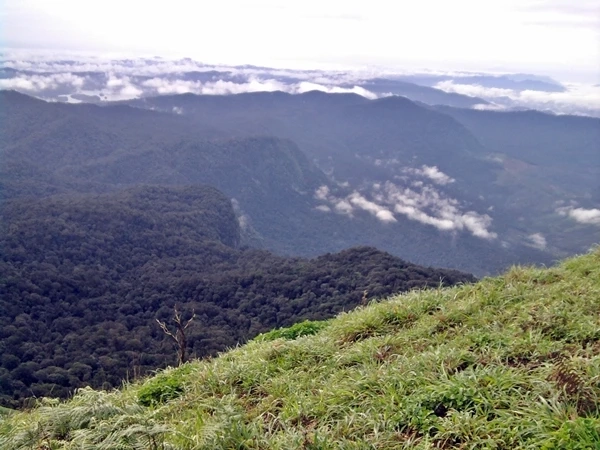 A complete guide of : Kodachadri Trek