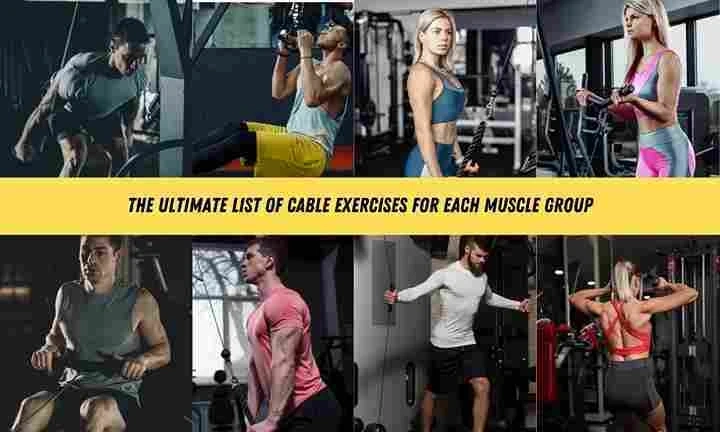 The Ultimate List of Cable Machine Exercises w/PDF