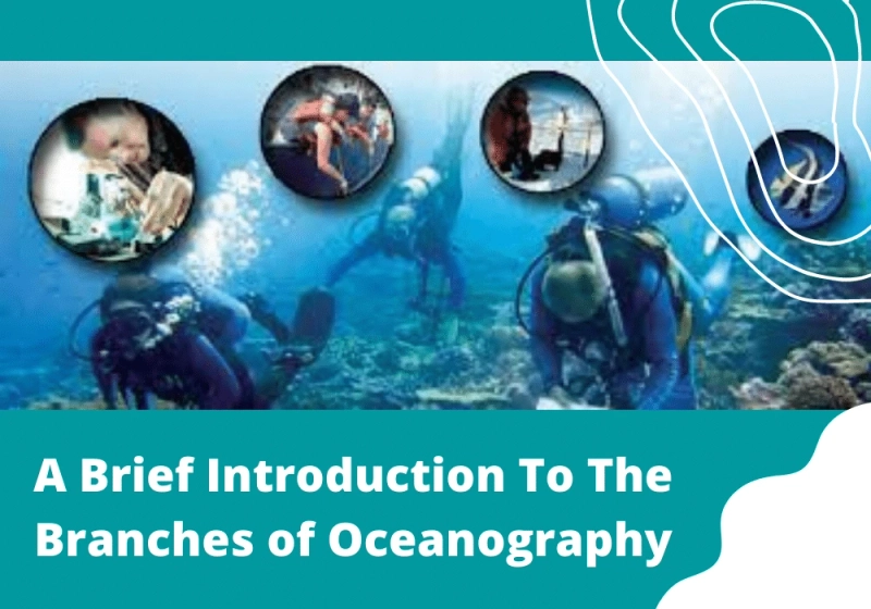 A Brief Introduction To The Branches of Oceanography