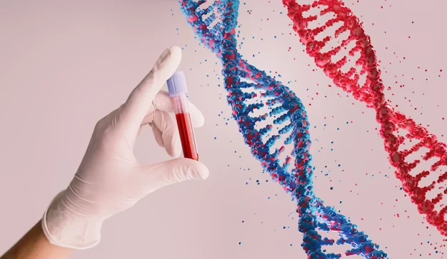 Everything You Need To Know About Baby’s DNA Gender Blood Test