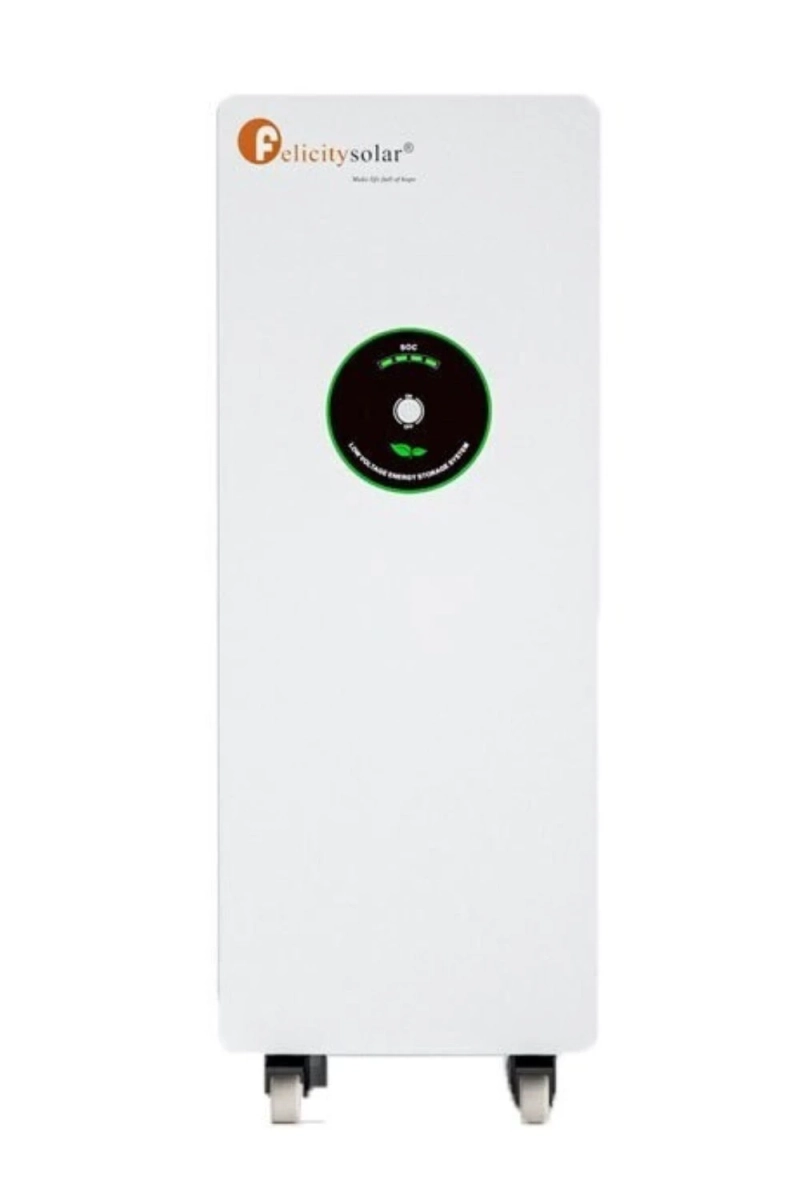 Powering the Future with Felicity Solar Battery: The 48V LiFePO4 Battery Advantage