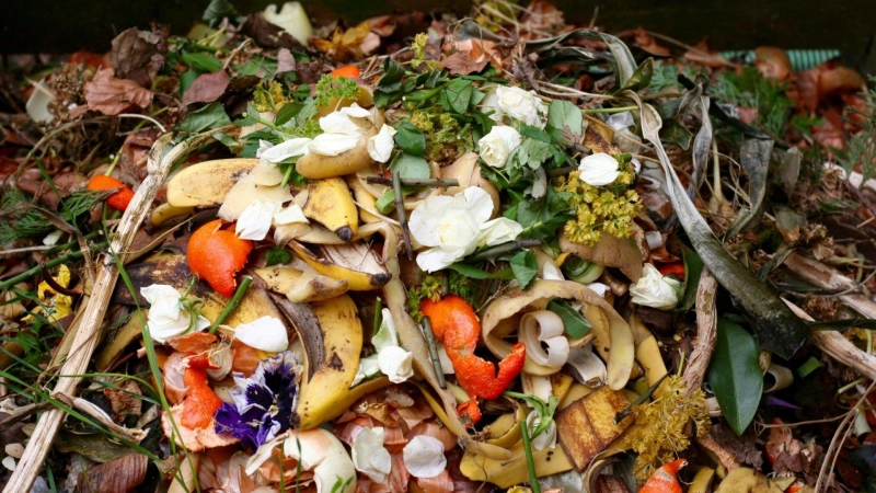 Food Waste Management Market Scope, Growth Opportunity and Forecast 2022-2027