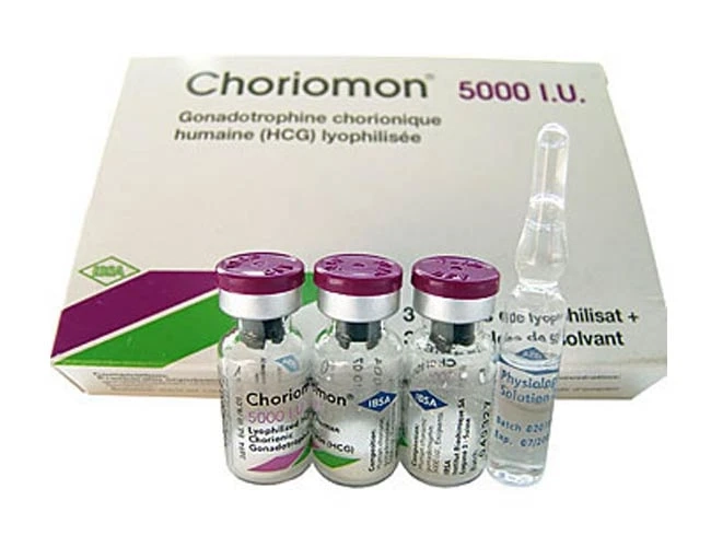 In Pregnancy, Human Chorionic Gonadotropin (HCG) Is Primarily Produced By The Syncytiotrophoblastic Cells Of The Placenta