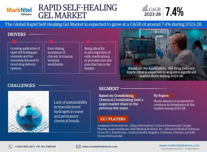 Rapid Self-Healing Gel Market Insights 2023-2028: Size, Share, and Top Companies Uncovered