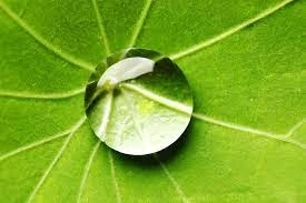 Green Coatings are made in many different materials including aluminum, steel, fiberglass, plastic,