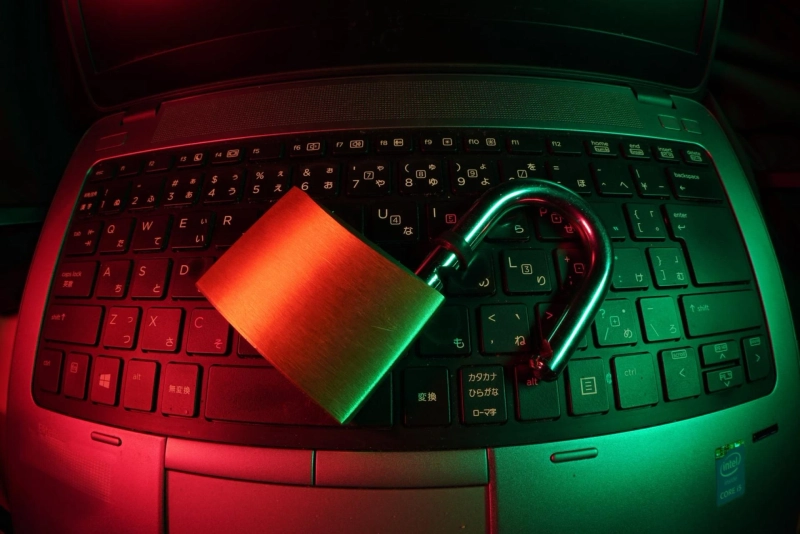 Why might it be fitting for you to contemplate an occupation in online security?