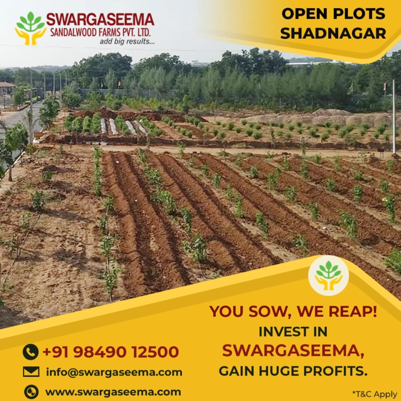 Top Reasons to Buy Sandalwood Plots in Shadnagar - Investment that Grows Bigger