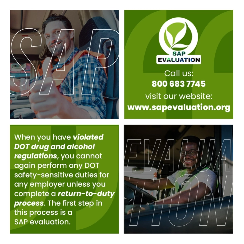 SAP Evaluation(s) - $255 - sapevaluation.org