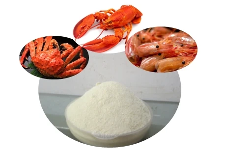 Chitosan Market Outlook, Growth Potential, Opportunities & Trends, 2023-2028