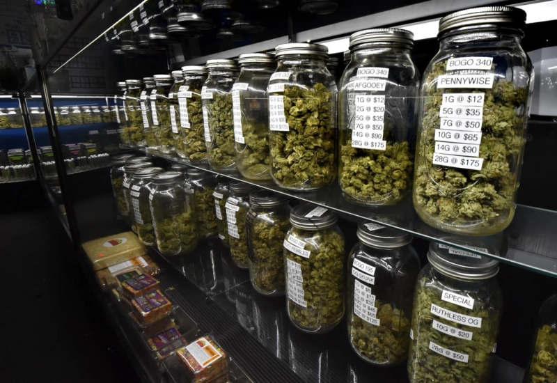 Cannabis Research News - Hemp Plus CBD Oil