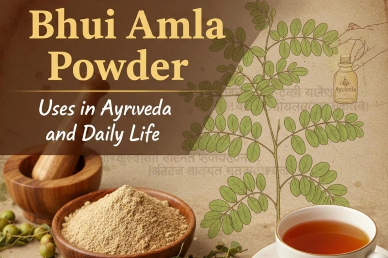 Bhui Amla Powder Uses in Ayurveda and Daily Life
