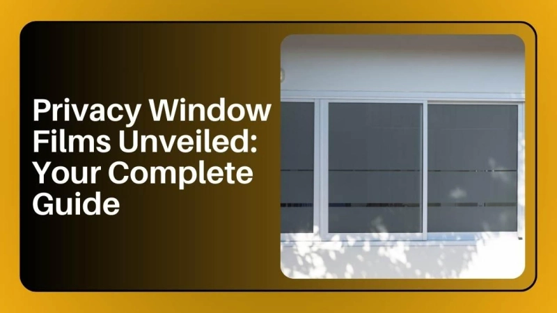 Privacy Window Films Unveiled: Your Complete Guide