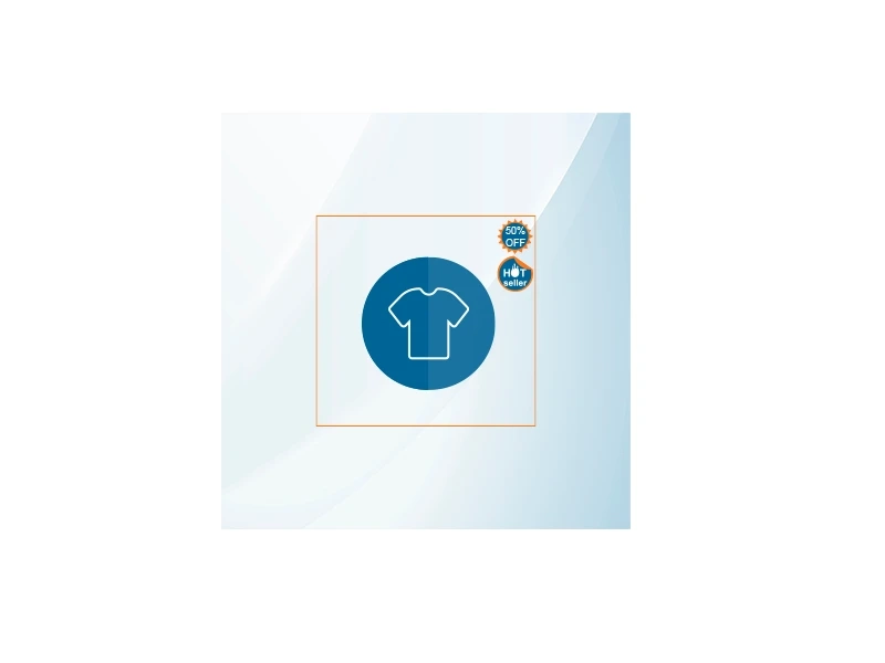 Magento 2 Product Label Extension