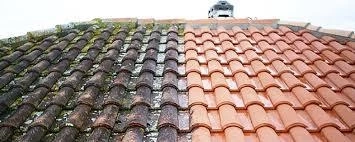Is Professional Roof Cleaning Worth the Money for UK Homes?