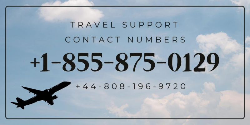 connect**agent**USA**24x7}} Speak To KLM® Rep Instantly