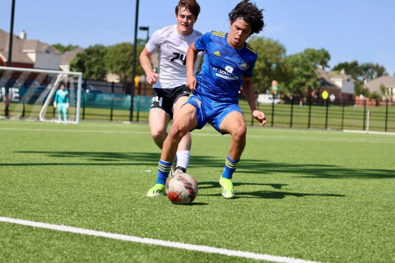 Building Trust and Excellence in Georgia’s Professional Landscape