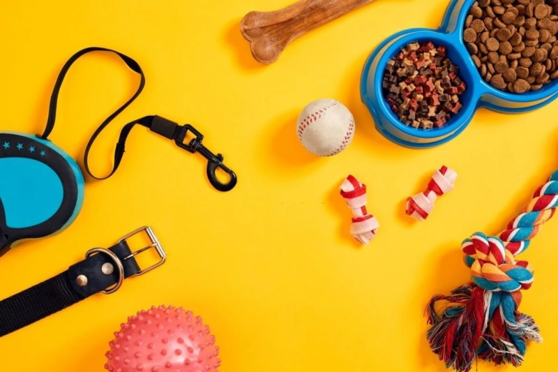 Choosing Right Leads For Your Dog