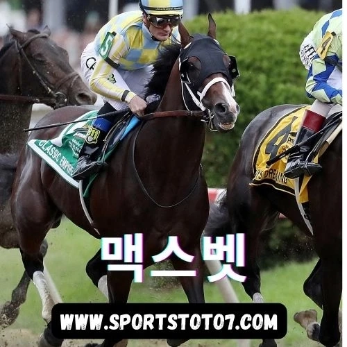 4 Horse Specialty Bets to Check Out