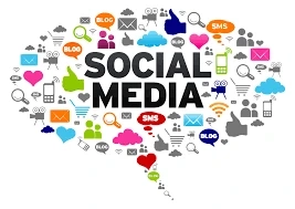 Understanding the Dynamics of SMM Reseller Panels