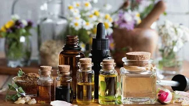 6 Science-based Health Benefits of Oregano