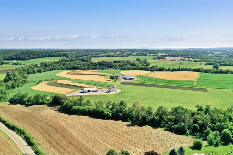 The Benefits of Hiring a Produce Broker