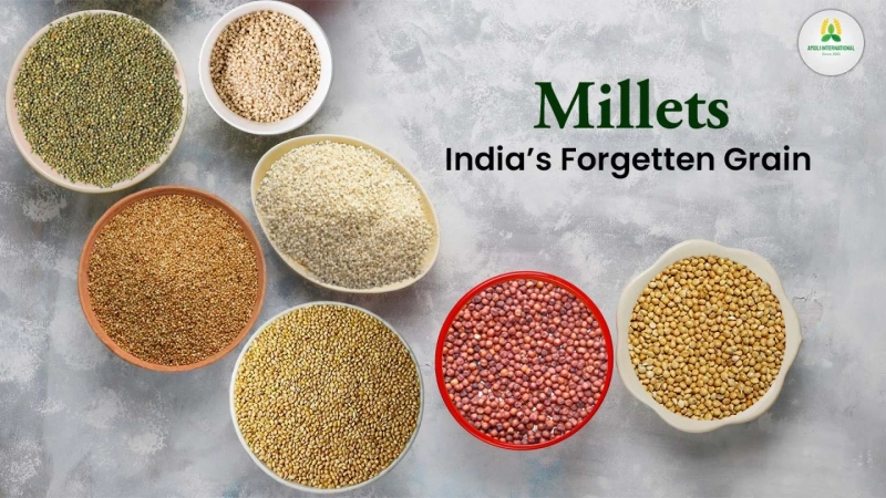 Millets - India's Forgotten Grain is now Conquering the World in 21st Century