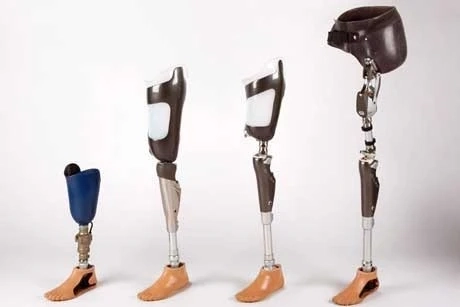 Artificial Limbs Market Size, Share, Outlook And Growth Opportunities 2021-2030 | GET FLAT 20% OFF O