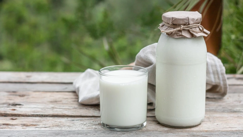 Animals that are raised organically are used to produce organic milk
