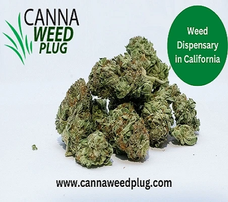 Things You Can Get From a Weed Dispensary in California