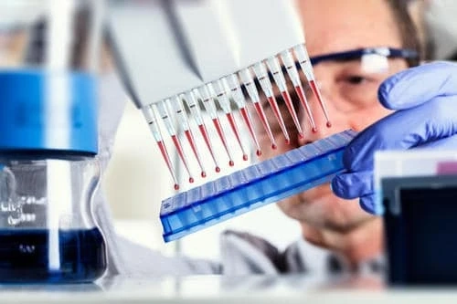 Global Bioanalytical Testing Services Market Share, Size, Growth, Trends and Forecast Till 2026: IMARC Group